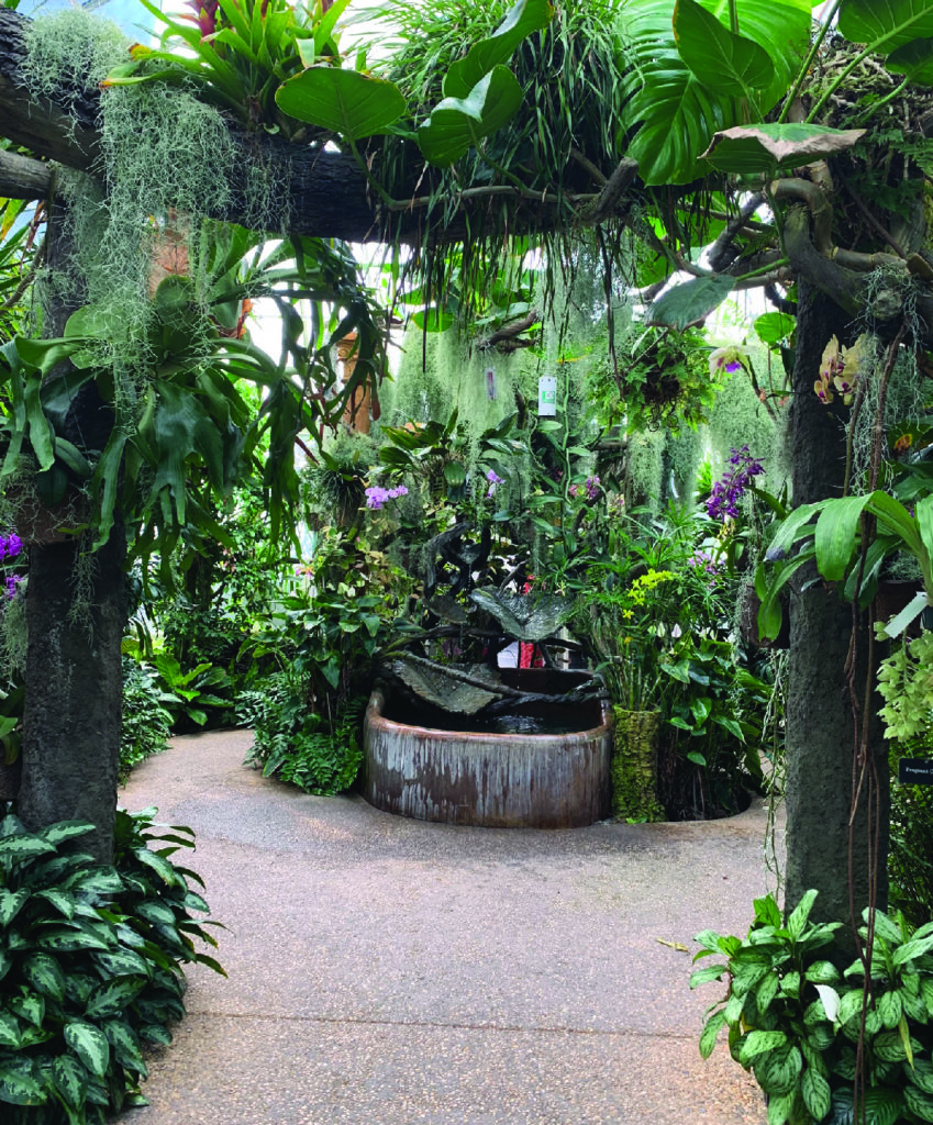 orchid fountain enclosed